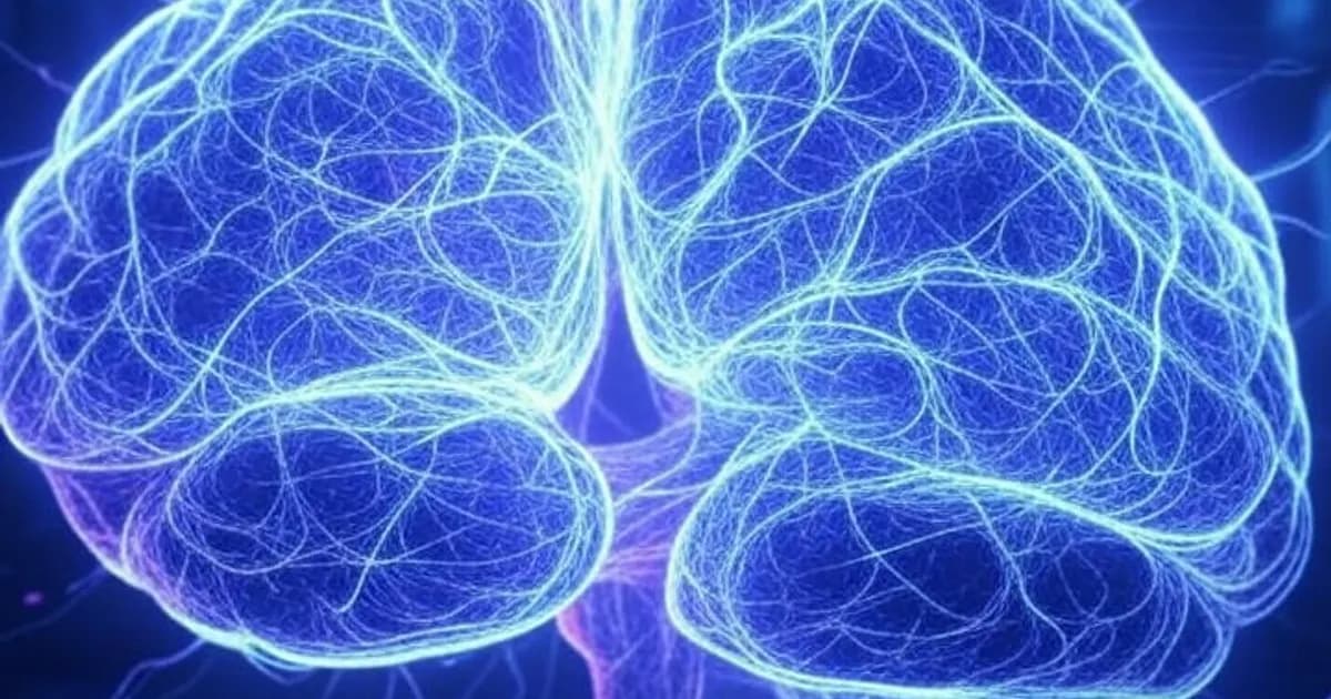 La convergence entre intelligence artificielle et neurosciences s'accélère. Des équipes internationales s'inspirent des cartographies cérébrales pour créer des modèles d'IA plus avancés, ouvrant la voie vers l'AGI.